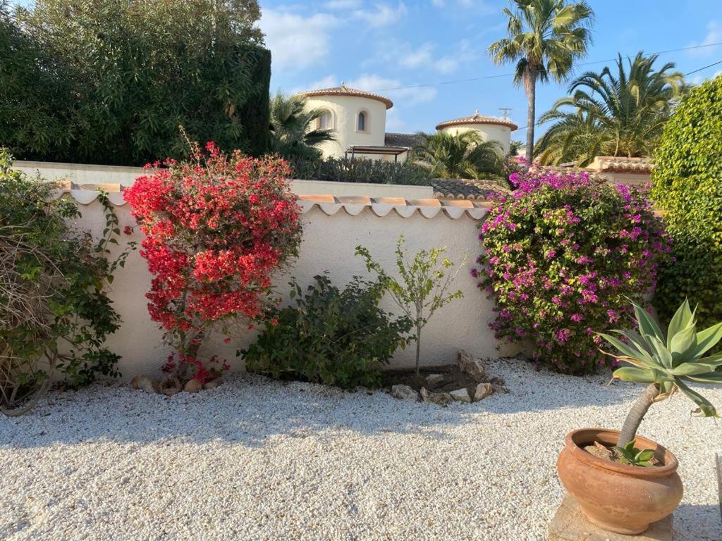 The Best Holiday Villa كاليبي المظهر الخارجي الصورة